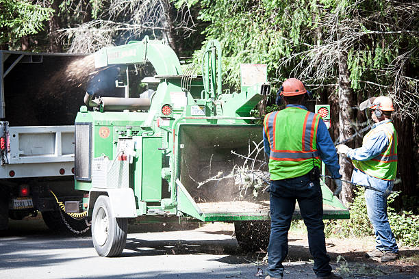 Best Aeration Services  in Bonneau Beach, SC